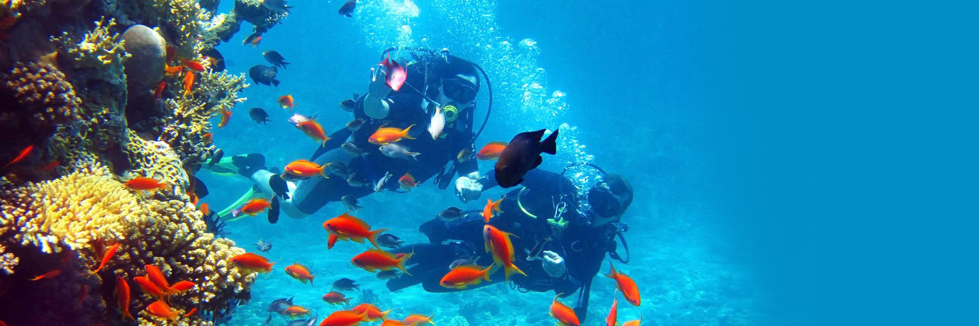 Scuba-diving-in-Greece